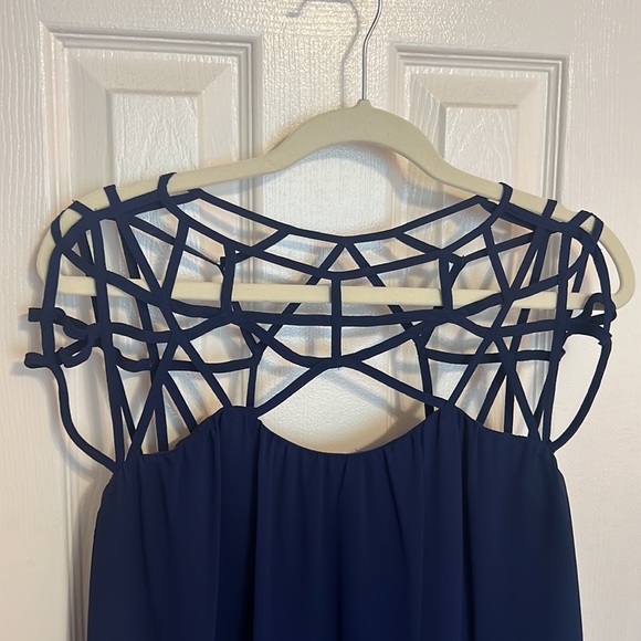 Naked Zebra Navy Dress - Picture 2 of 4